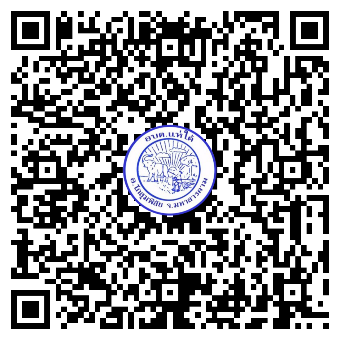 qr code 030